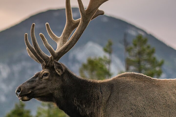 Experience Image img3