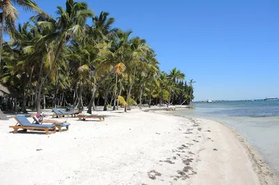 Miami to Key Largo & Isla Morada: A Luxurious Private Escape