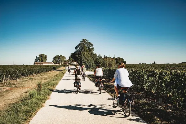 Saint-Emilion E-Bike Wine Tour with Picnic
