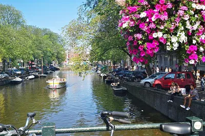 Unveiling Amsterdam's Soul: A Private Walking Tour Through History & Hidden Gems