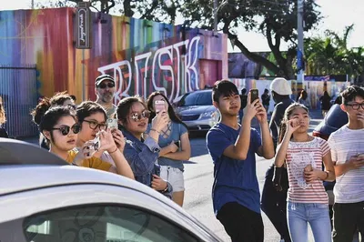 Wynwood Walls Unveiled: Exclusive Art Tour with Local Artist