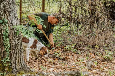Unearth Tuscan Treasures: Truffle Hunt & Farm-to-Table Feast