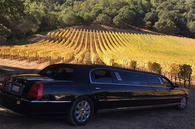 Indulge in Napa: 6-Hour Luxury Wine Tour with Custom Route