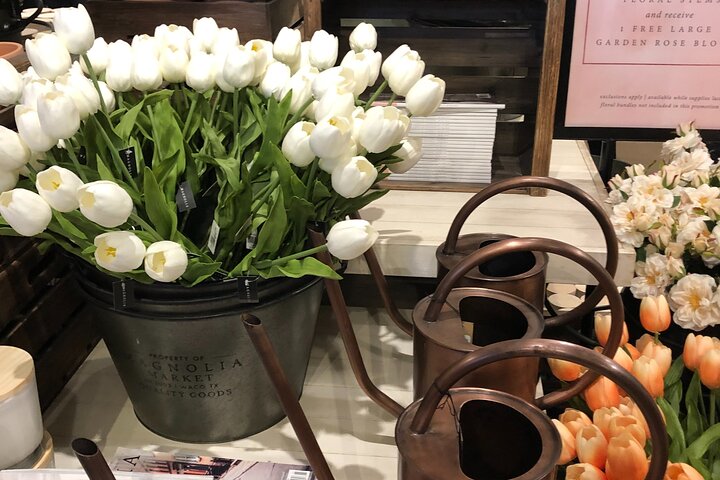 Experience Image img1