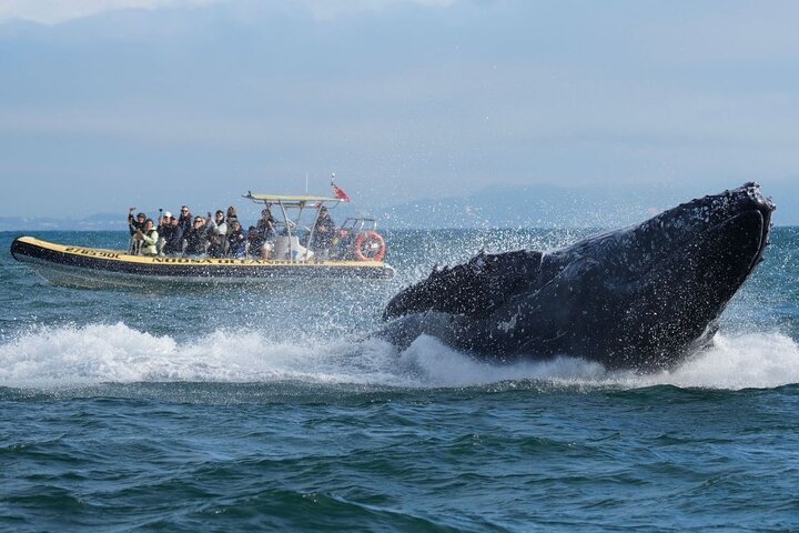 Experience Image img2