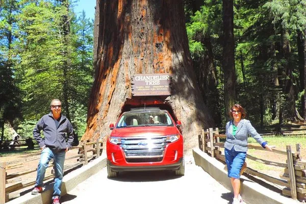 Discover Redwood Majesty: A Luxurious 2-Day Private Tour