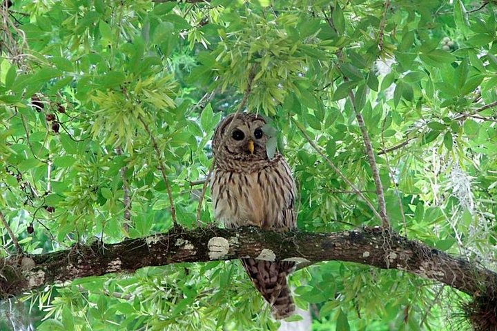 Experience Image img2