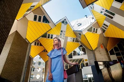 Den Haag, Delft & Rotterdam: Private Day Tour from Amsterdam