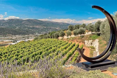Sip & Savor: Nice Organic Wine Tour with Provençal Bites