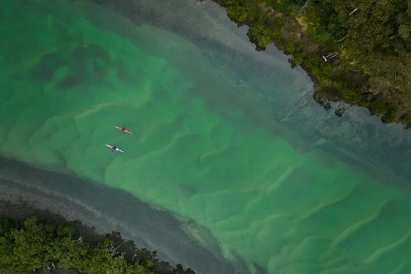 Bermagui River Kayak Tour: Paddle Through Paradise & Savor Local Delights!