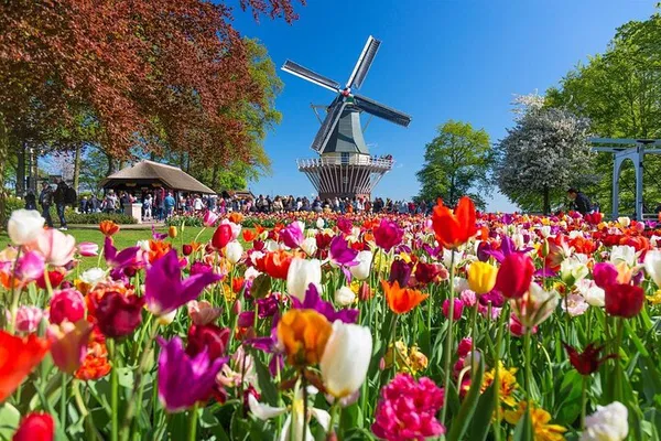 Keukenhof Gardens: A Luxurious Private Tulip Tour Experience