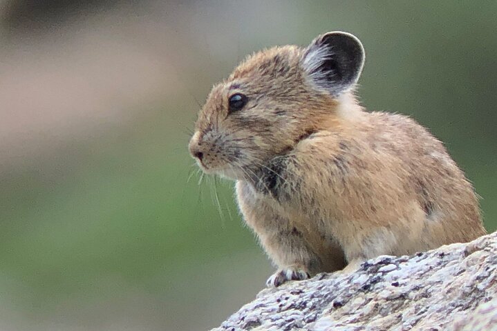 Experience Image img1