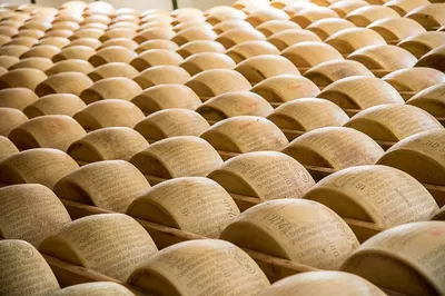 Parma's Culinary Treasures: A Half-Day Private Food Tour