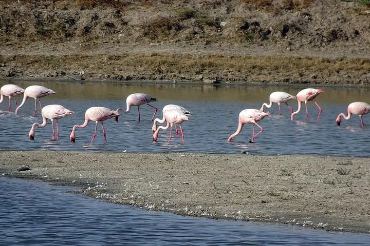 img0