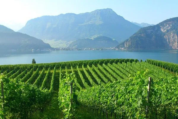 Lakeside Serenity: Discover Lucerne's Countryside Charm on Foot