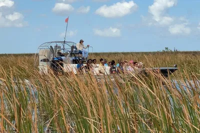 Everglades Airboat Adventure: Thrilling Ride & Roundtrip Transfer!
