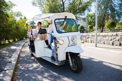 Rome's Ancient Wonders: An Eco-Friendly Tuk Tuk Adventure