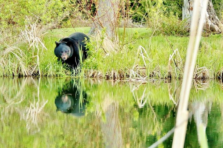 Experience Image img3