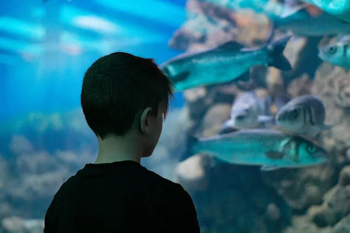 img0
