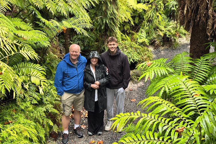 Auckland's Best: Full-Day Private Discovery Tour