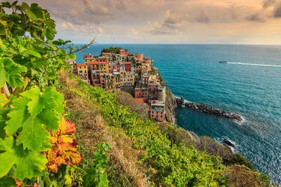 Unveiling Cinque Terre: A Luxurious Wine & View Private Tour