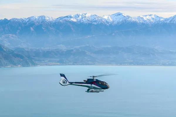Kaikoura's Whale Watch: Soar Above for Unforgettable Marine Views