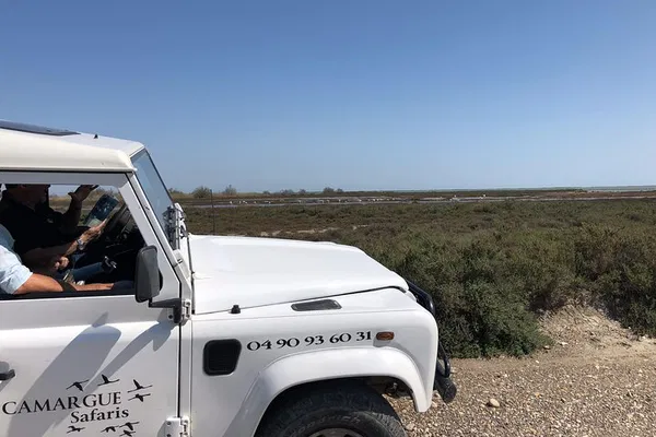 Camargue's Wild Side: 4x4 Safari Adventure from Arles