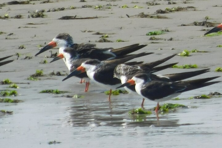 Experience Image img1