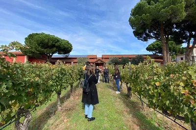 Uncork Ribera del Duero: A Madrid Wine Lover's Dream