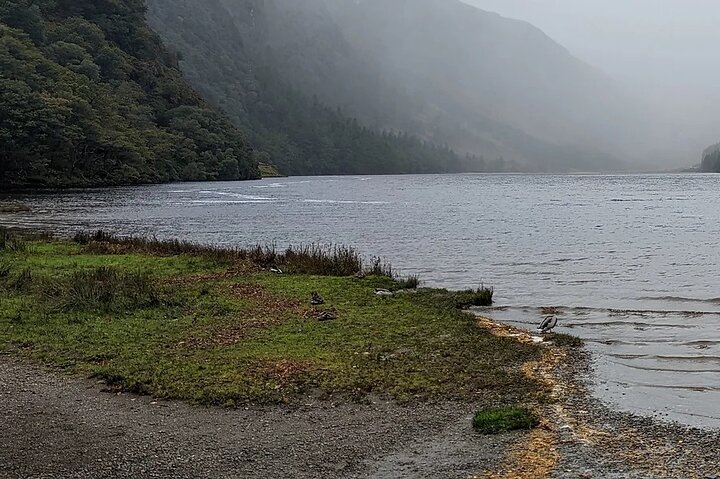 Discover Ireland's Charm: A Private Wicklow, Glendalough & Powerscourt Adventure