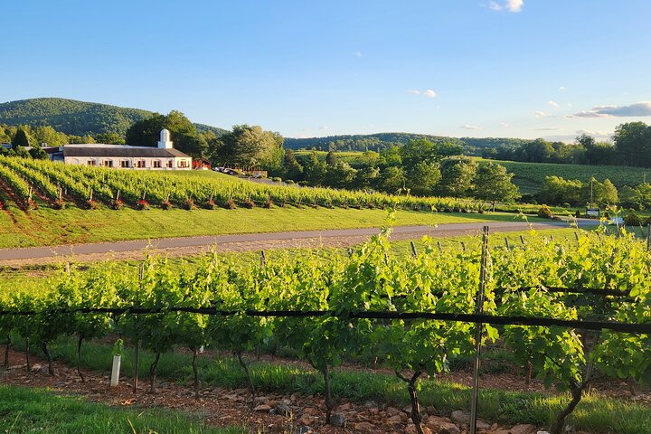 Experience Image img1