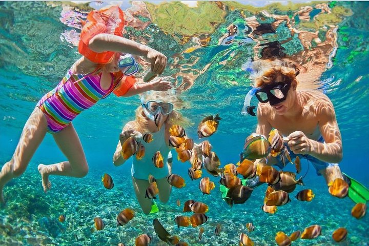 Phuket: Coral & Racha Islands Speedboat Tour