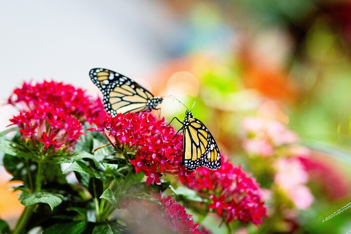 Experience Image img2