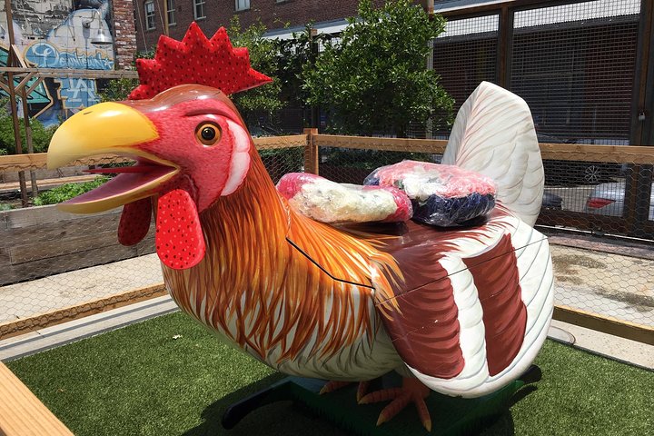 Experience Image img1