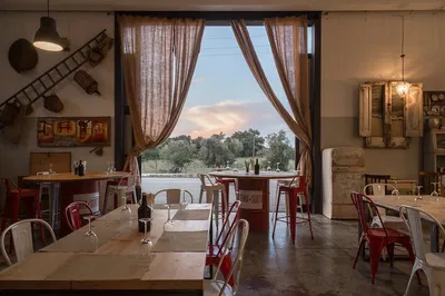 Olive Grove Tour: Oil Tasting & Farm Lunch