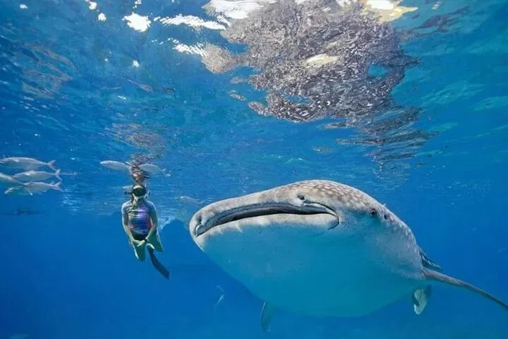 img0