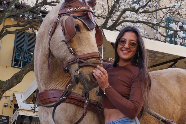 Lucca's Historic Heartbeat: A Charming Carriage Tour