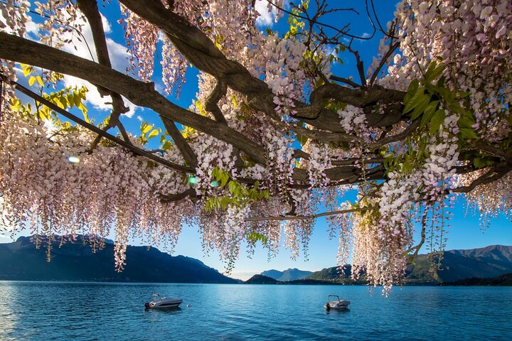 Experience Image img2