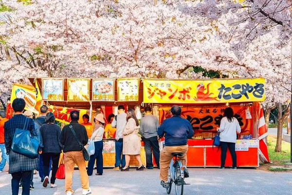 Osaka Cherry Blossom Food Tour: Hidden Hanami!