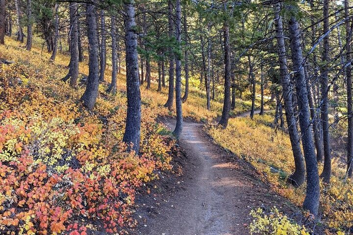 Experience Image img3