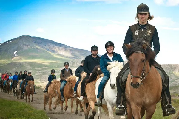 Reykjavik Horse Tour: Ride Icelandic Horses!