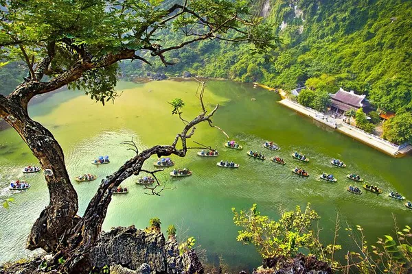 Ninh Binh's Highlights: Explore Ancient Temples, Caves & Rice Fields