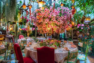 Riviera Nights: Cannes to Nice Evening Photo Tour