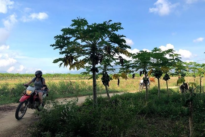 Experience Image img4