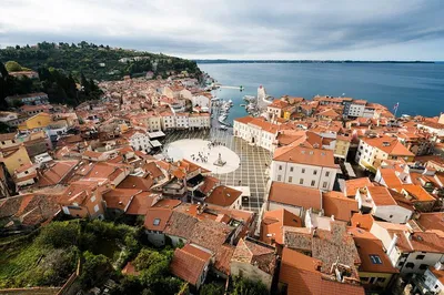 Unveiling Istria: A Flavorful Journey Through Piran's Venetian Charm