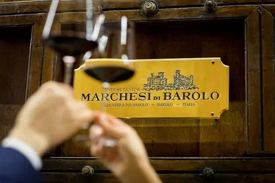 Indulge in Piedmont: Private Barolo Cellar Day Trip from Milan