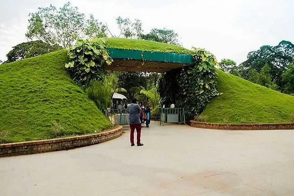 Chennai Heritage Tour: A Cultural & Culinary Deep Dive