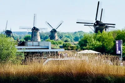 Effortless Schiphol Airport Transfers: Your Private Chauffeur Awaits!