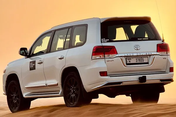 Dubai Desert Adventure: Dune Bashing, BBQ & Camel Ride