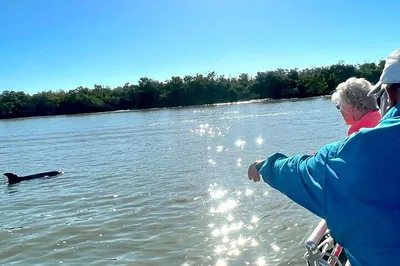 Marco Island Dolphin Tour: Private Wildlife Adventure